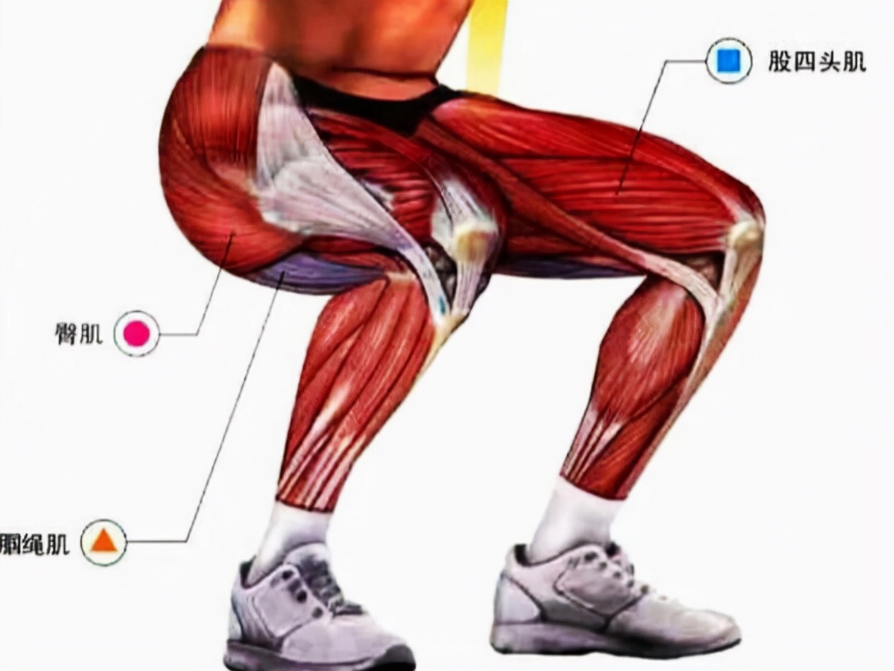 下蹲的正确动作，日常自我查体的参考、锻炼双腿的保障