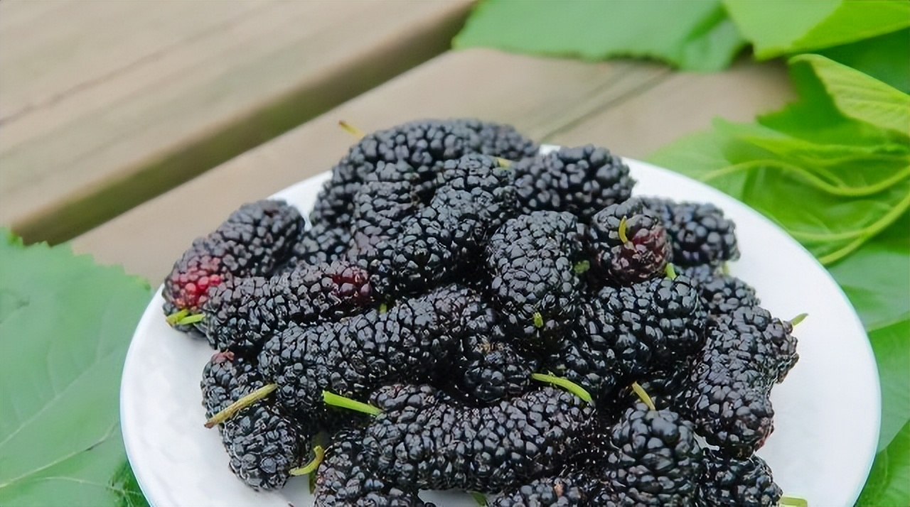 猕猴桃能消除脸上的皱纹吗,吃猕猴桃可以防止皱纹吗