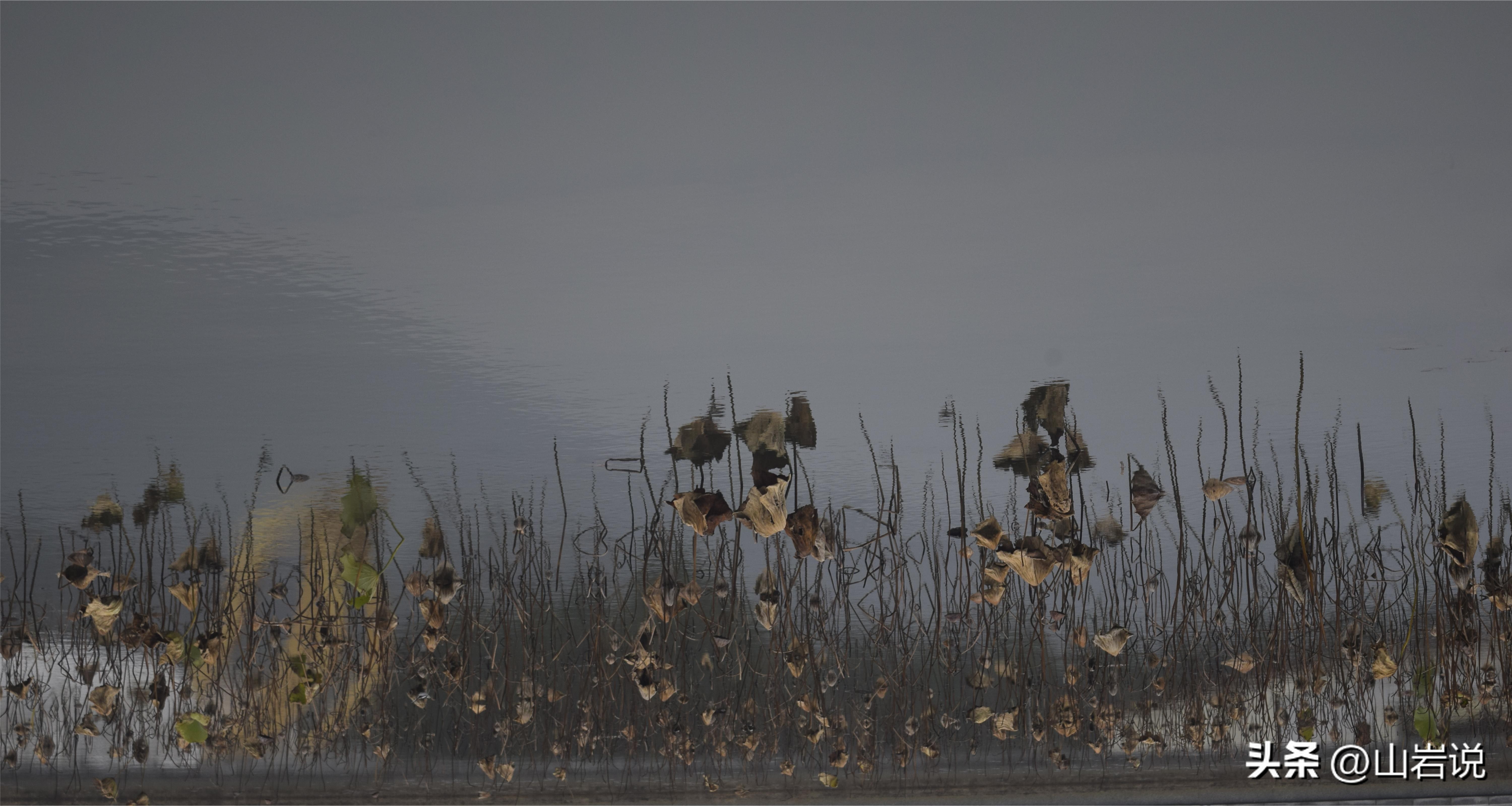 一杯茶一缕阳光一段惬意的时光,一杯茶一段时光人生感悟