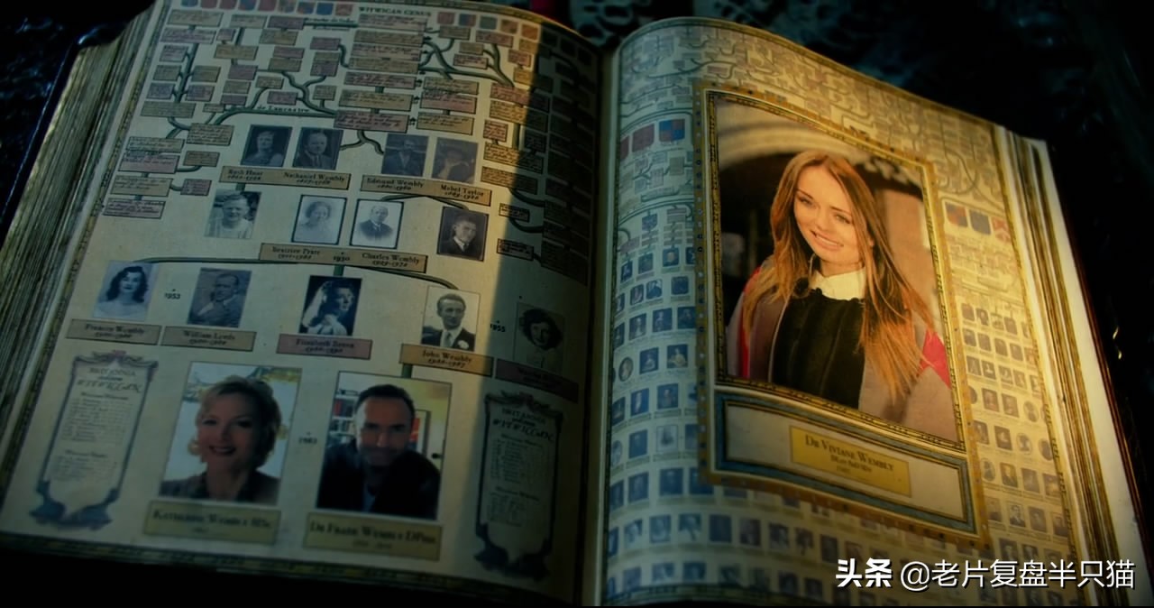 变形金刚编年史1-7,变形金刚编年史全文