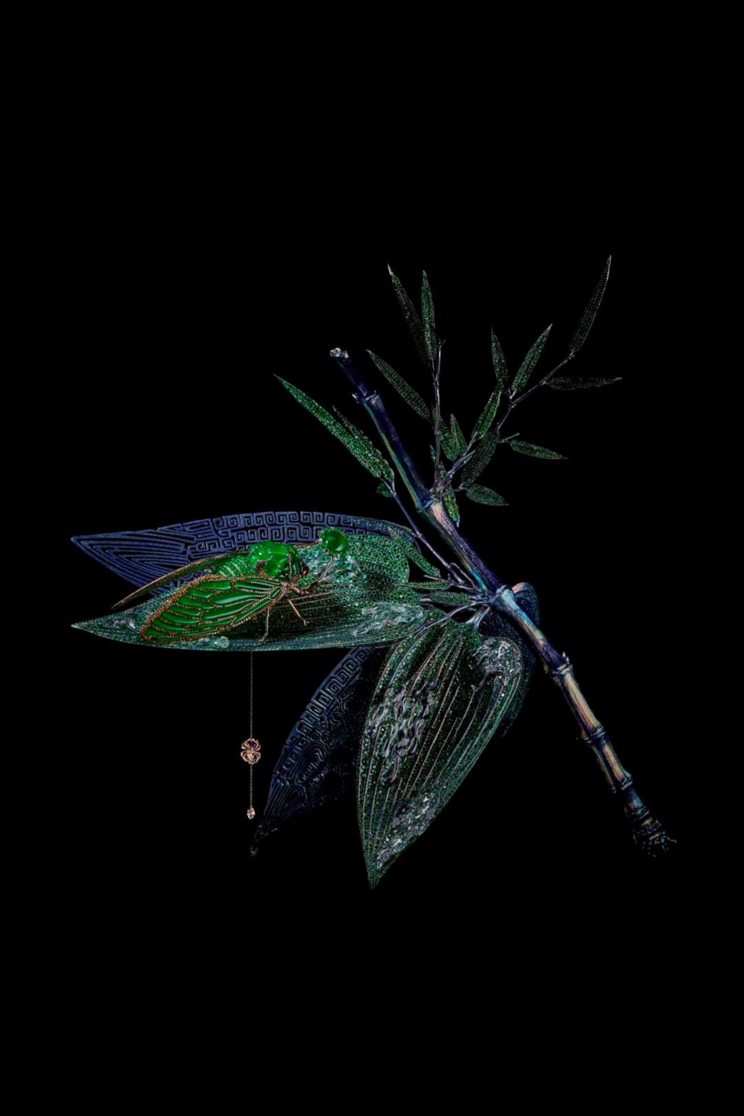 纯钛首饰,黑色金属钛首饰