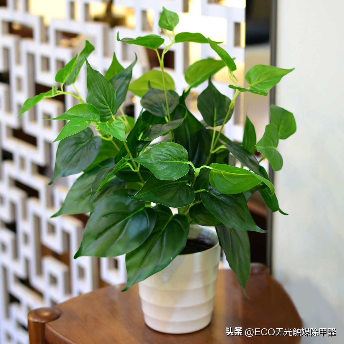 甲醛安全环保治理,甲醛治理健康卫士