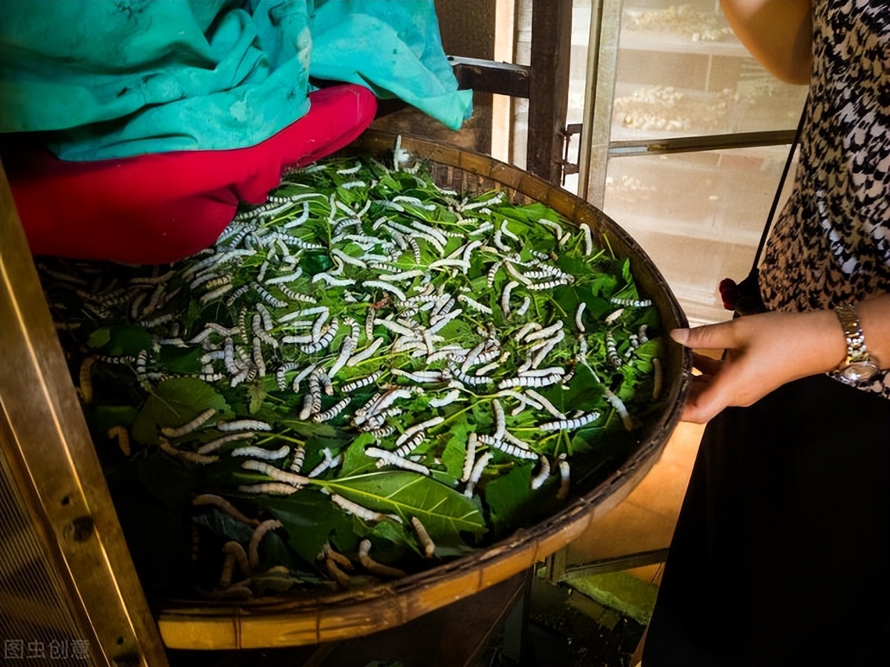 高血压，多半是“肝郁化火”！一张方子，疏肝清热，巧妙化解