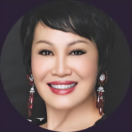 靳羽西资产多少亿,靳羽西稳坐春晚前排20年