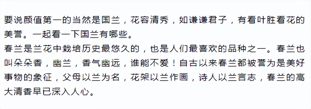 新手盆栽兰花最好选择哪些品种,适合家养的兰花品种有哪些盆栽