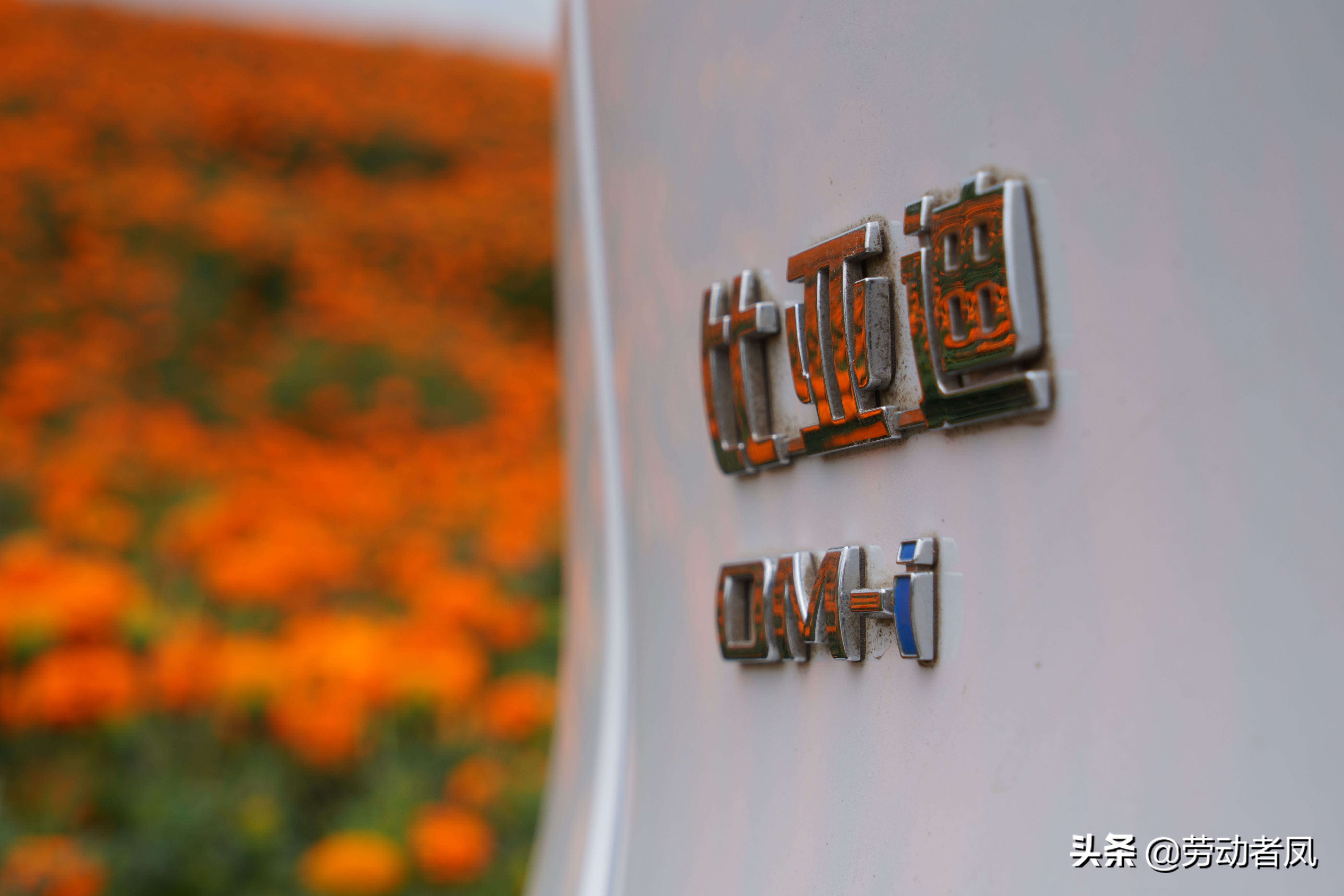 唐dmp前挡风玻璃自爆,唐dmi前挡风玻璃破了走保险吗