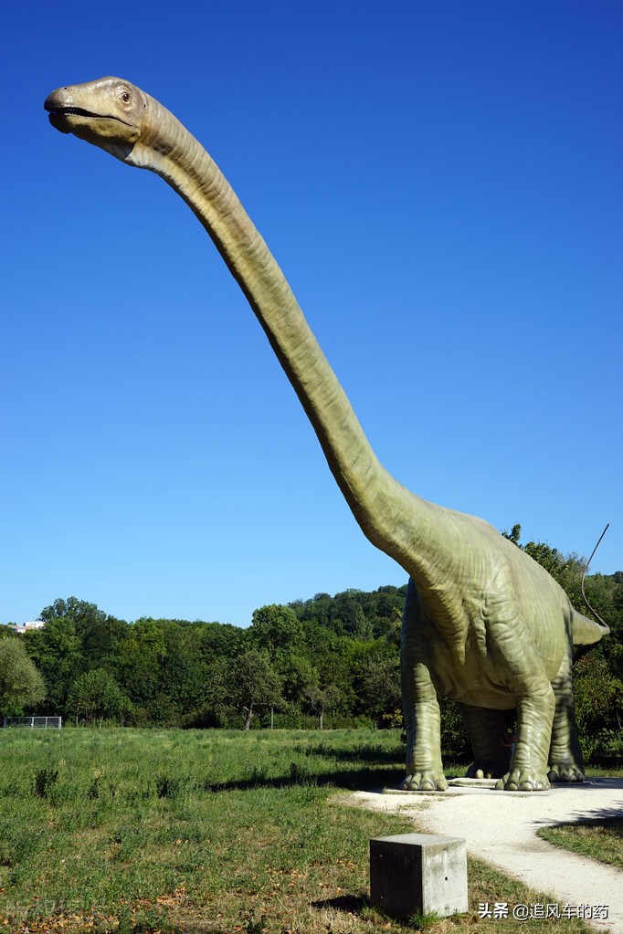 恐龙世界最强的十大恐龙,恐龙世界盘点最强大的恐龙