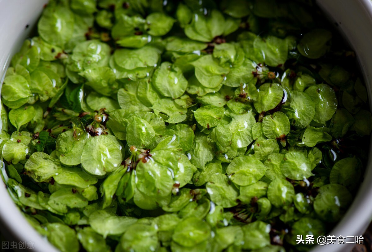 这3种野菜春天食用既美味又养生,北方地里春天都有哪些野菜可以吃