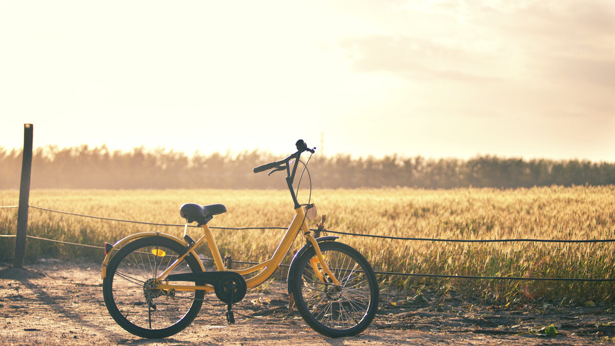 花式抗疫:讨吃调,鼓匠系,模仿秀,段子…这些神曲“最呼市”