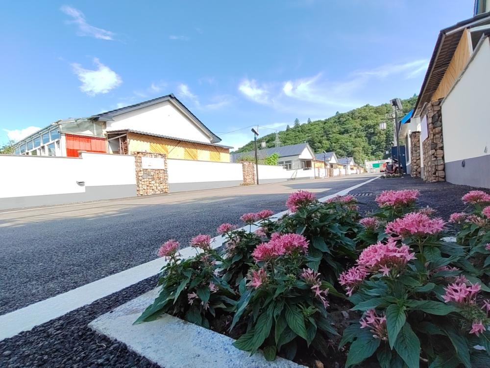 吉林新观察丨看吉林靖宇如何推进乡村振兴