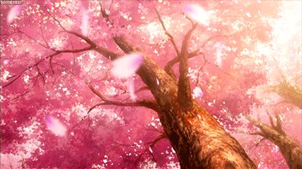 唯热爱可抵岁月漫长下一句,唯有真心与热爱可抵岁月漫长