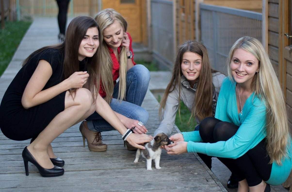 保加利亚的最新状况,保加利亚现在发展水平