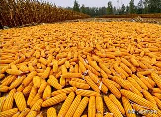 十天干中的甲对应数字是,甲与十天干的关系