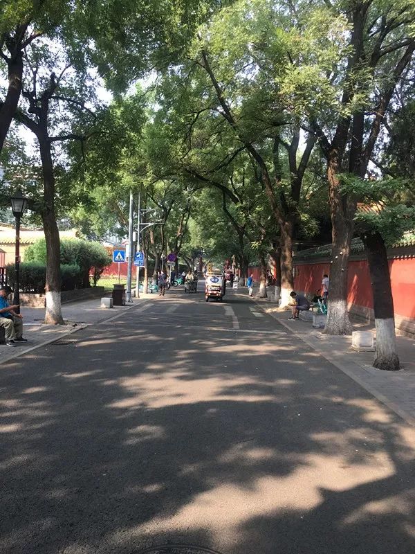 国子监腾退开始了吗,国子监腾退什么时间开始