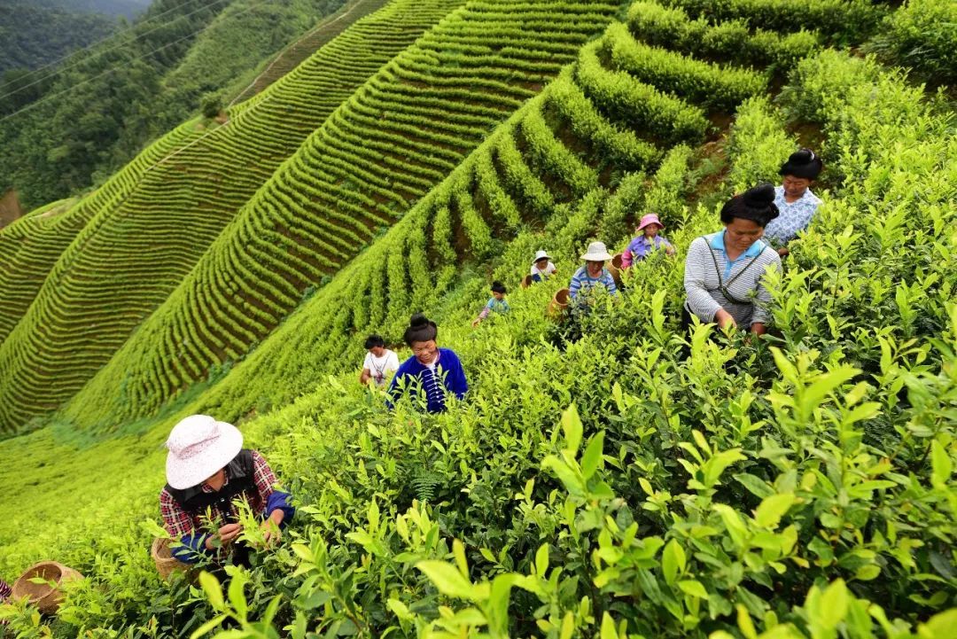 肯德基吸管事件后续,被肯德基骂出来原视频