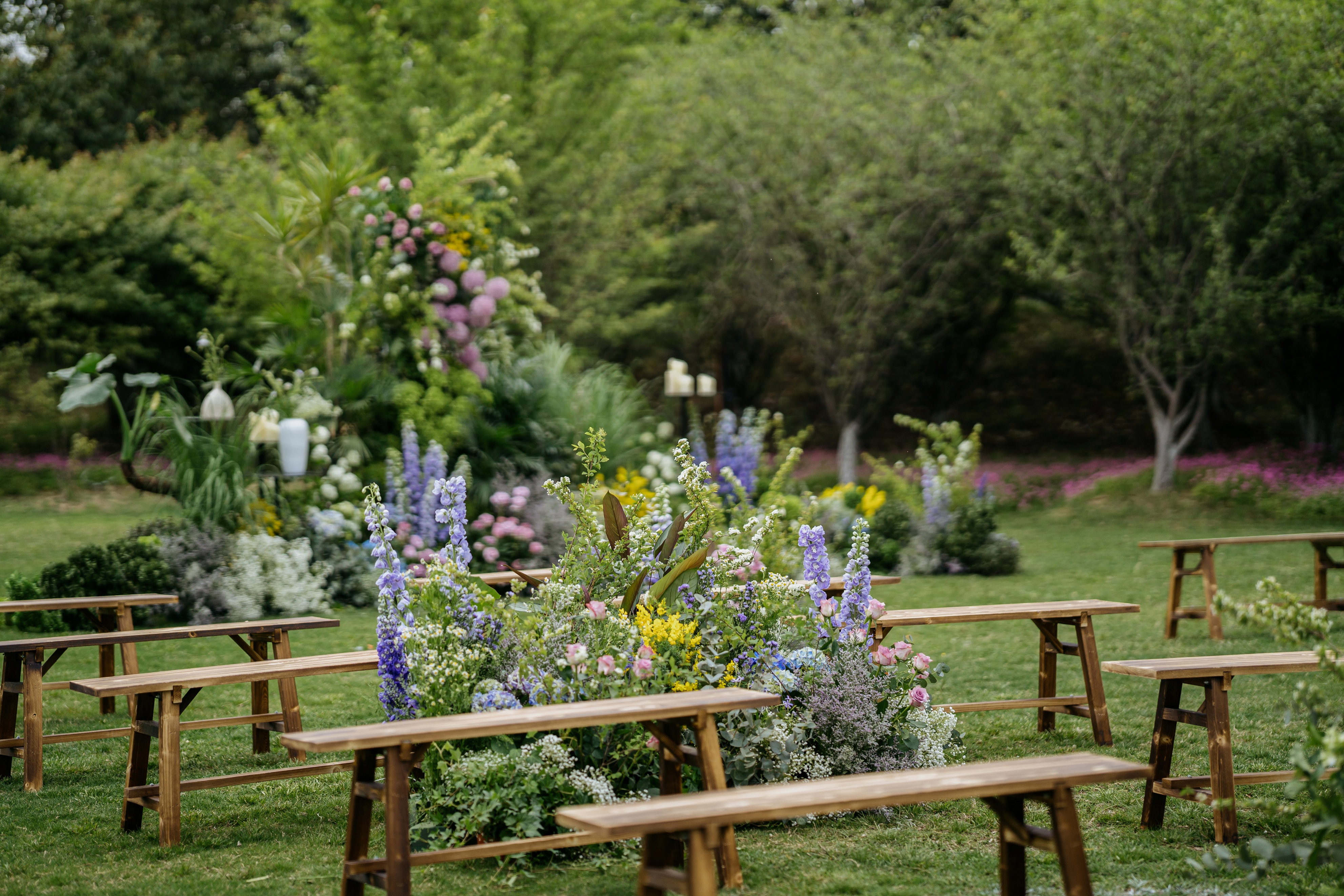 水月周庄铂尔曼酒店,水月周庄铂尔曼酒店情人节