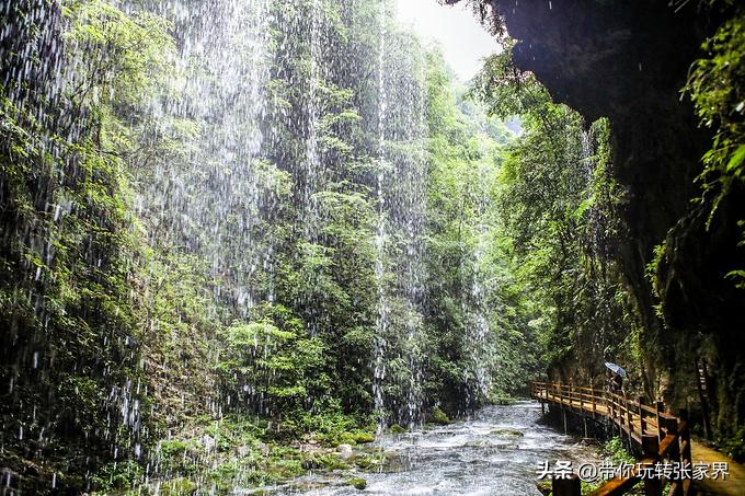 张家界5天4晚旅游攻略和费用明细,张家界旅游攻略和费用五天四晚