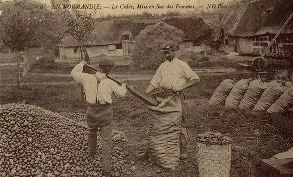 世界第一大果酒,世界三大果酒