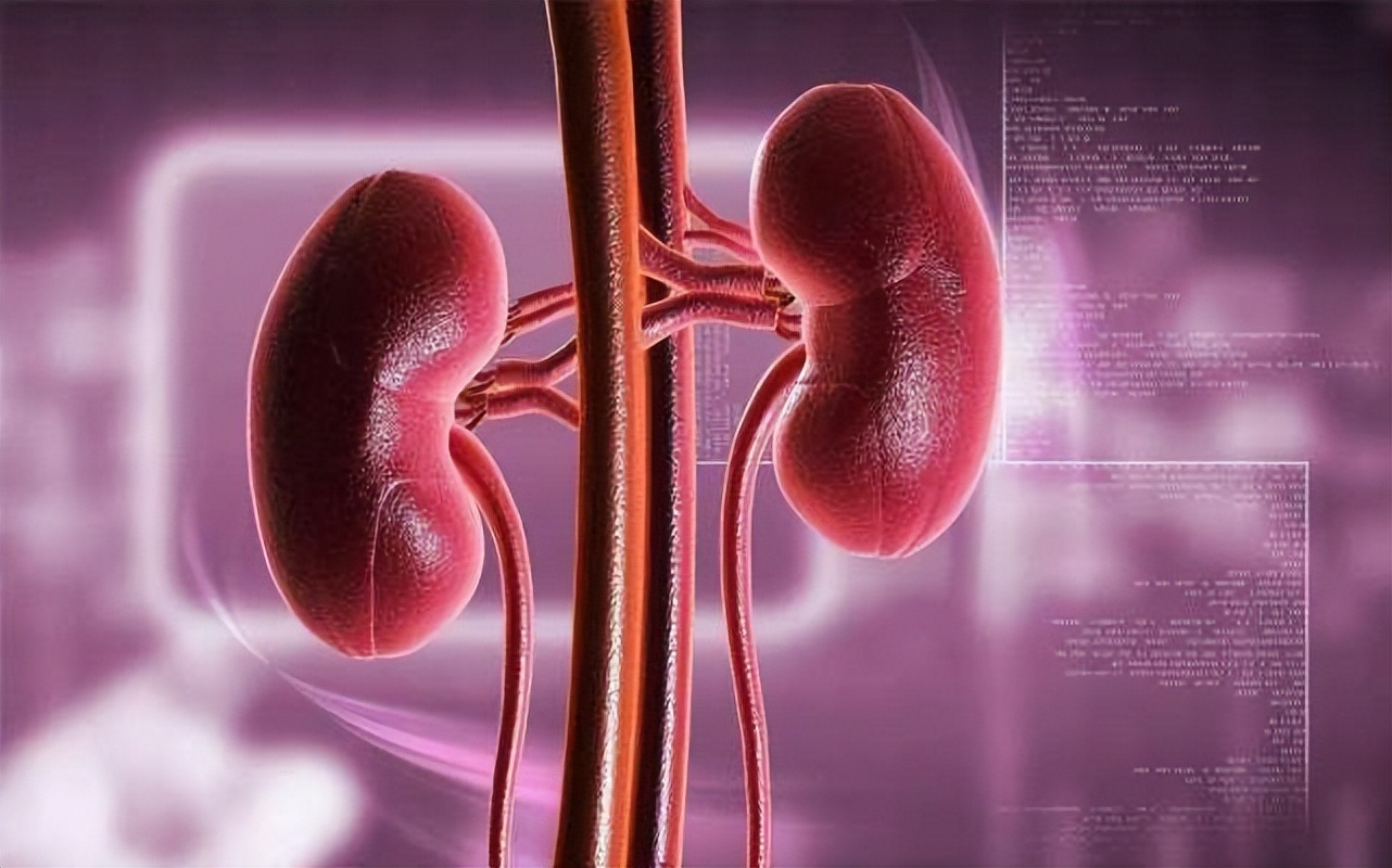 白发长在头顶是哪里出了问题,两鬓和后脑勺白发多怎么回事