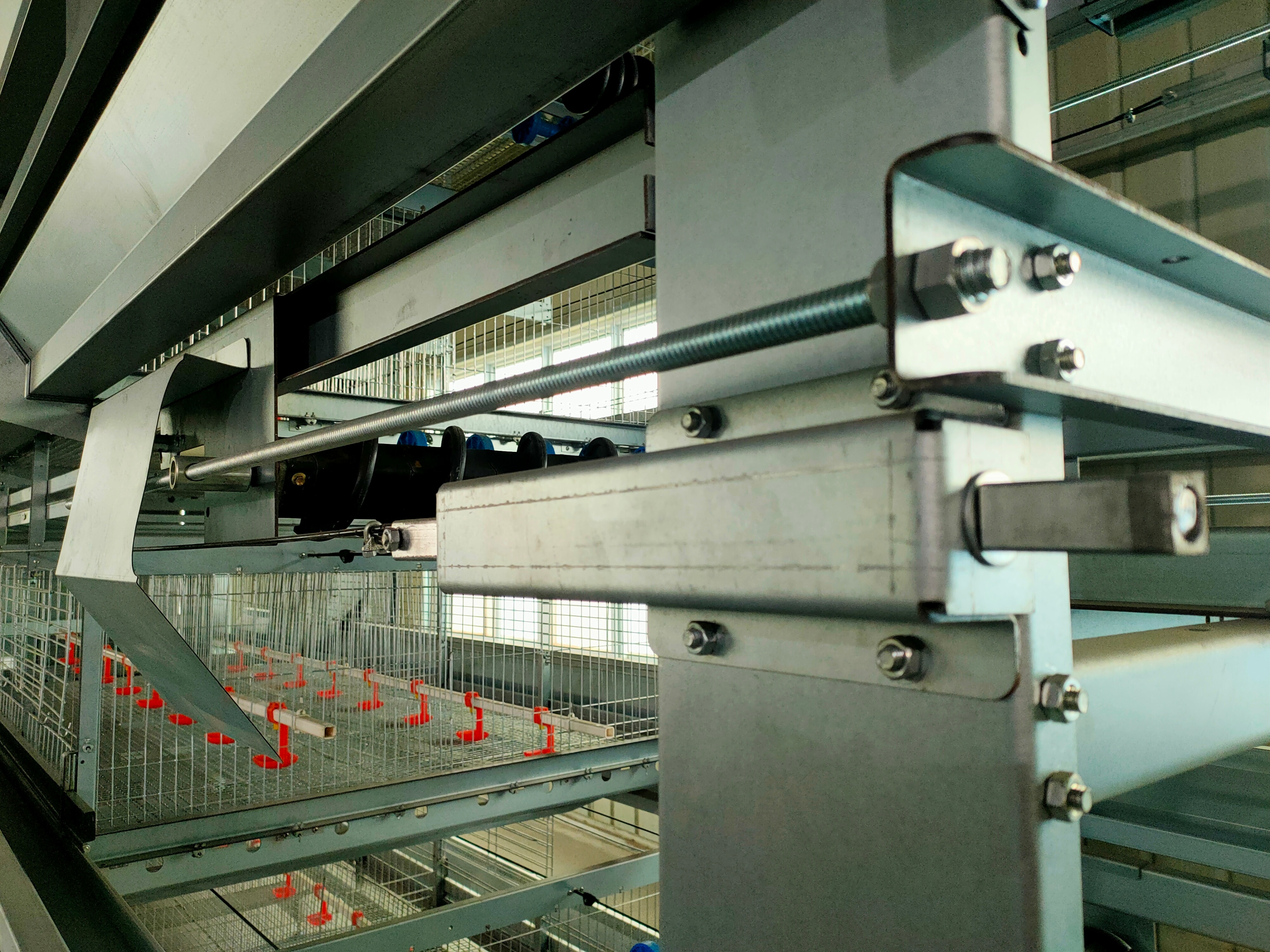 养鸡饲养管理全程,养鸡精细化管理一键解决养殖难题