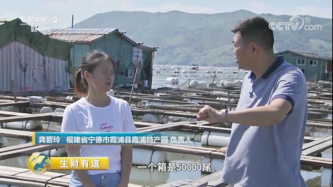 福建政和返乡创业致富,霞浦大学生创业开店