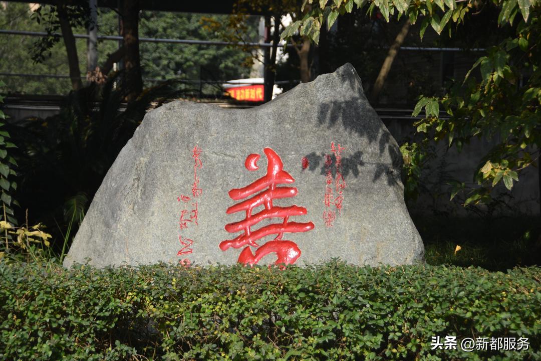 祝贺新学校,新都市区重点学校