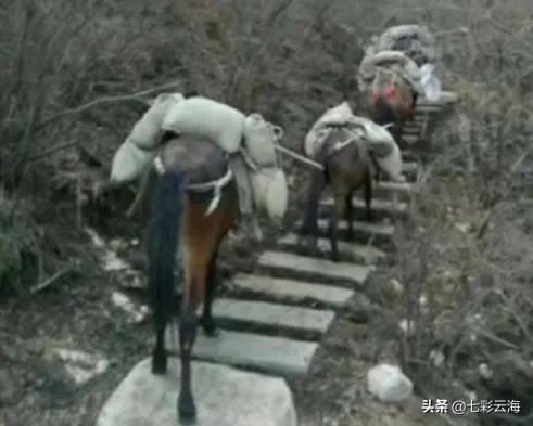 攀登武当山的马邦