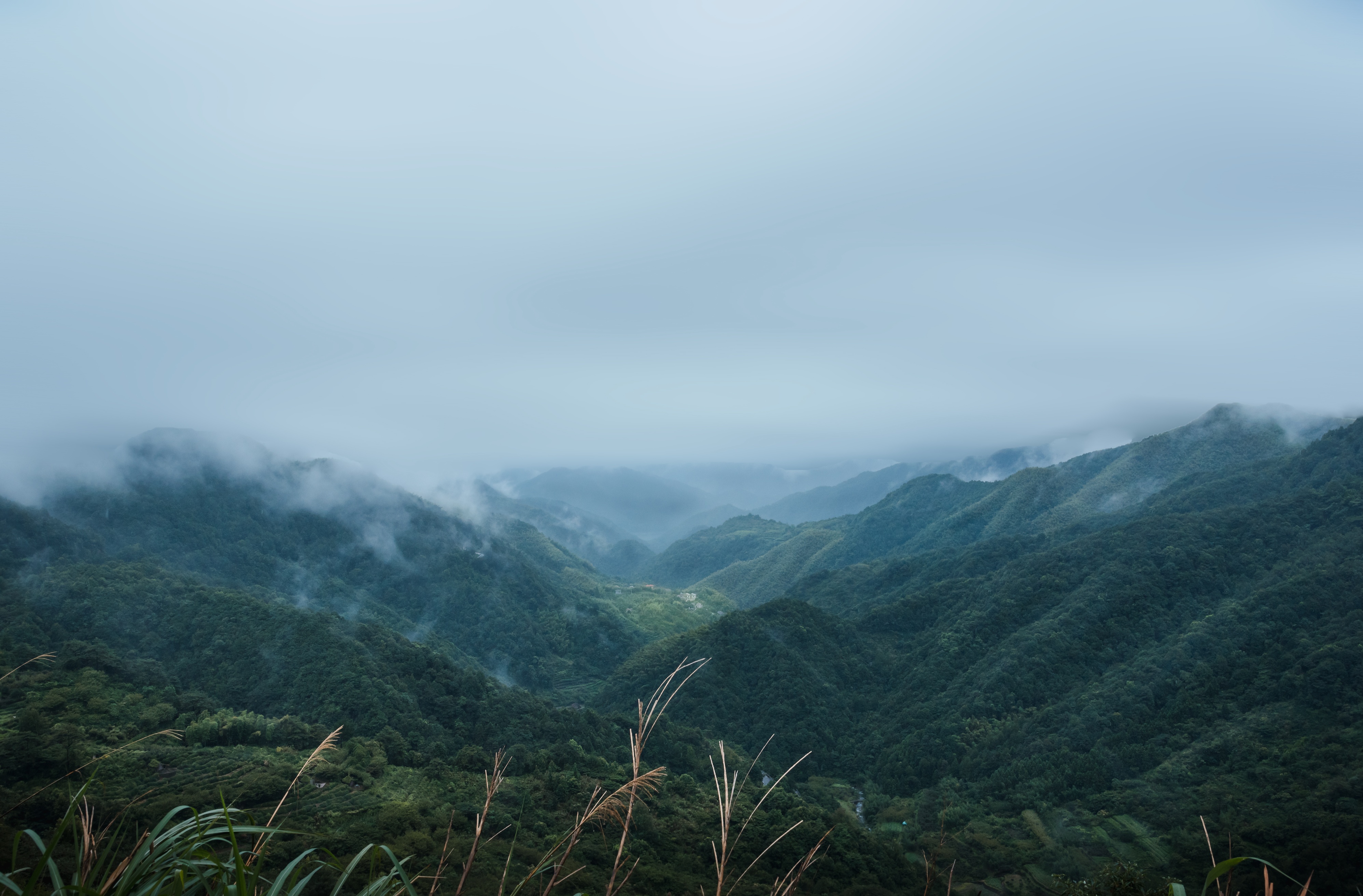 宁波四明山游记,宁波四明山这两年的风景