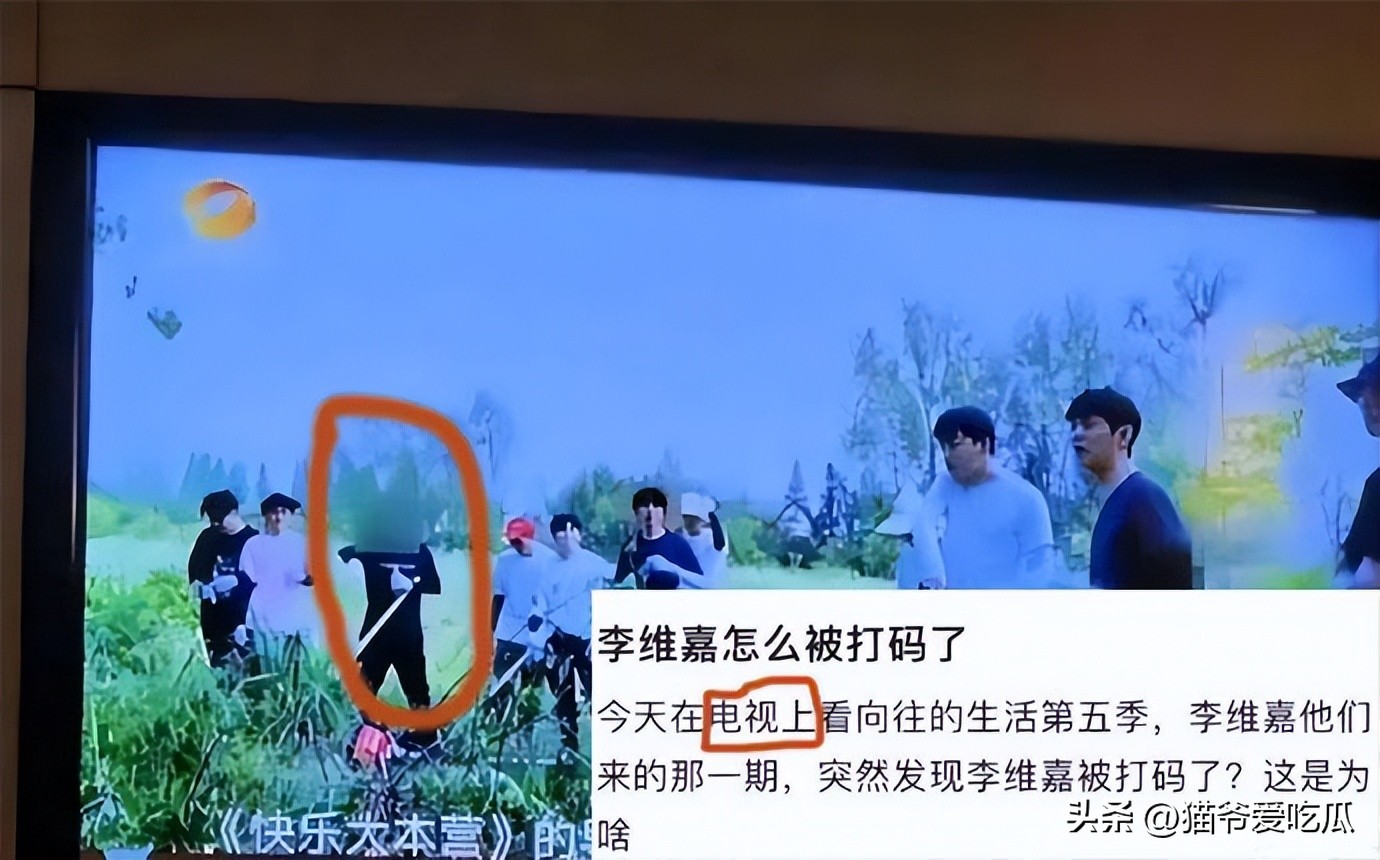 最近李维嘉消息,最新李维嘉消息