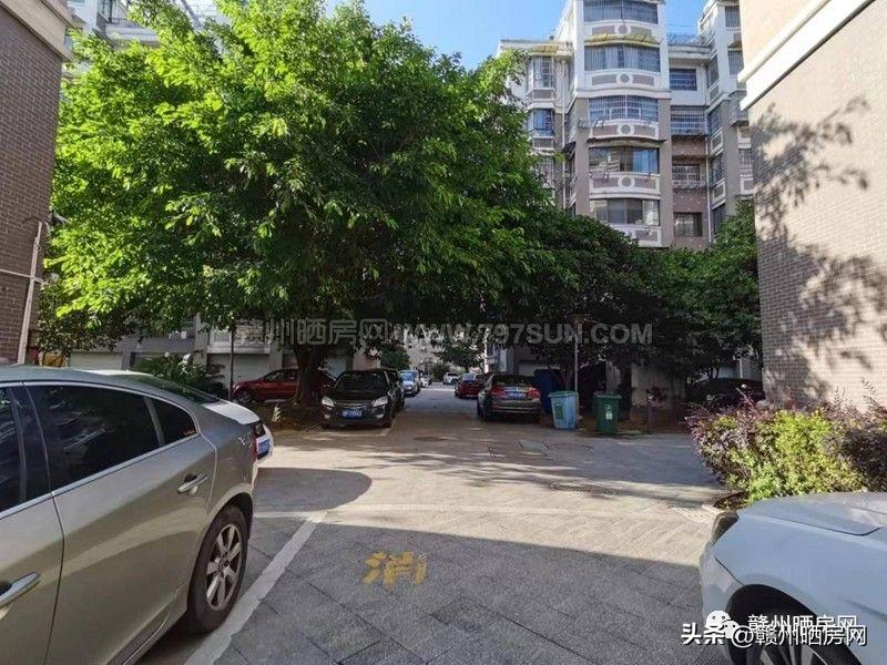 赣州金樽花园属于哪个社区,赣州金樽花园