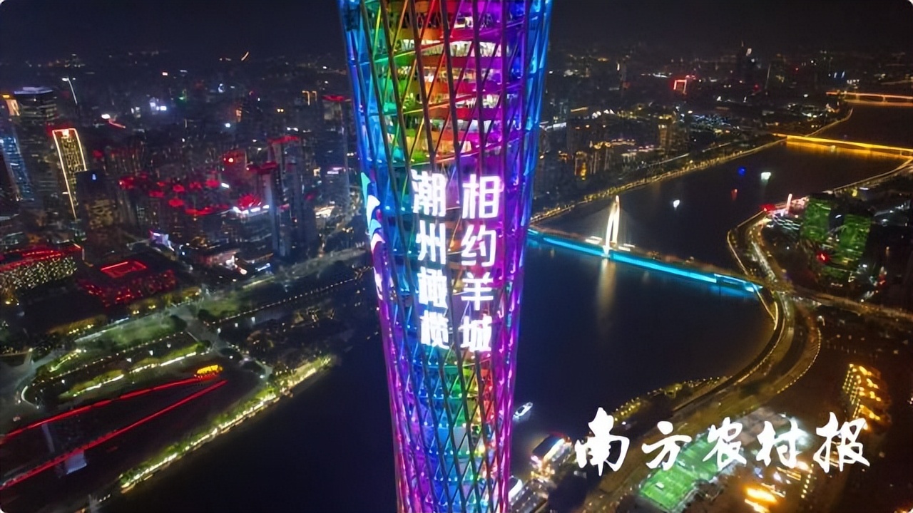 潮州金山橄榄,老树橄榄和潮州橄榄