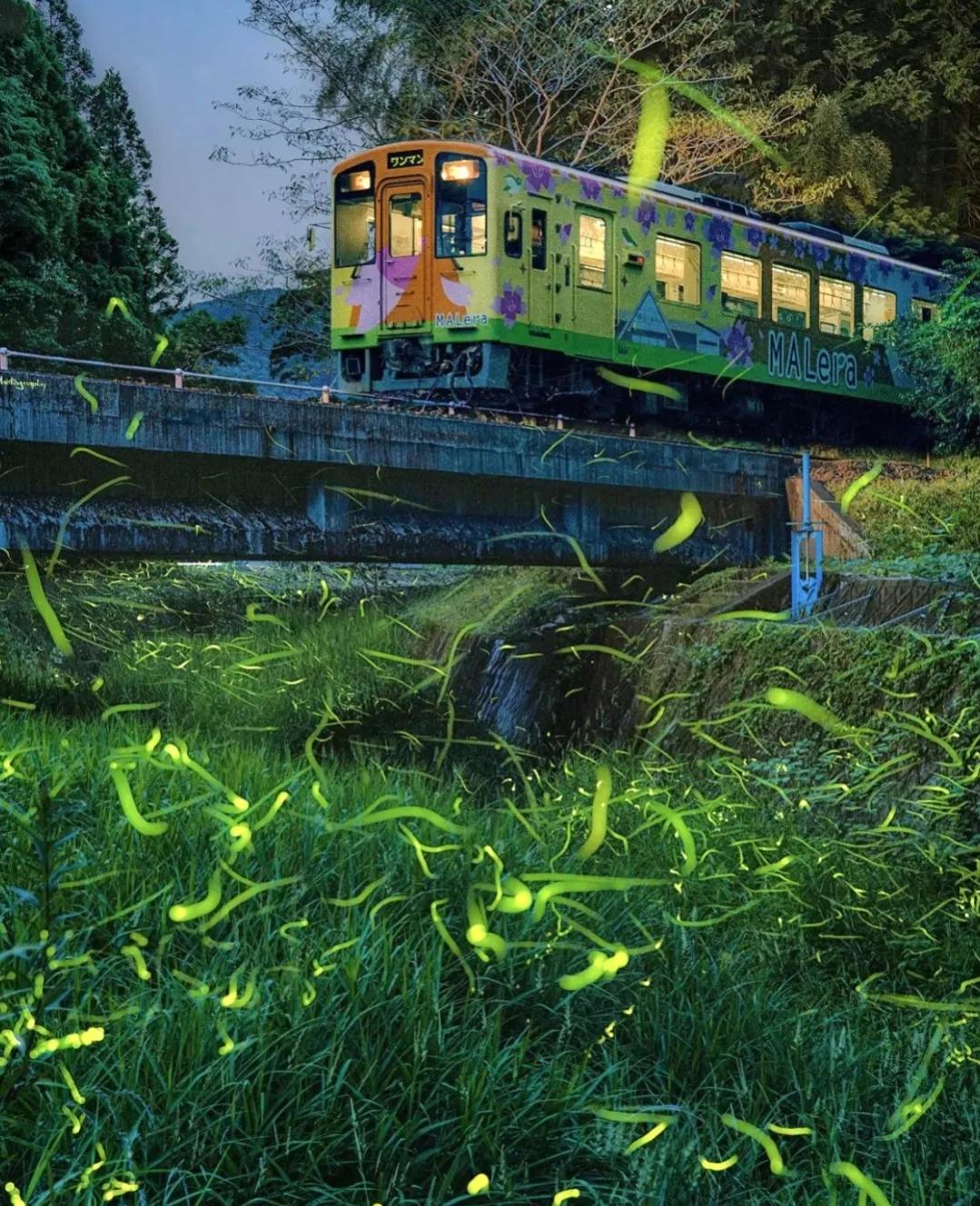 日本小众出行仿佛一脚进入梦幻油画世界！