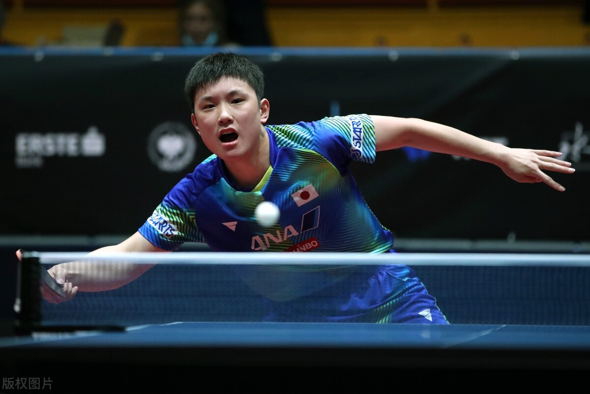 张本智和日本32强赛夺冠,世乒赛日本张本智和输给谁
