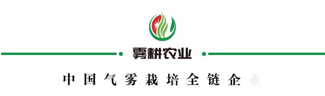 「农业百科」究竟什么是无土栽培？带你一起探索无土栽培的奥秘