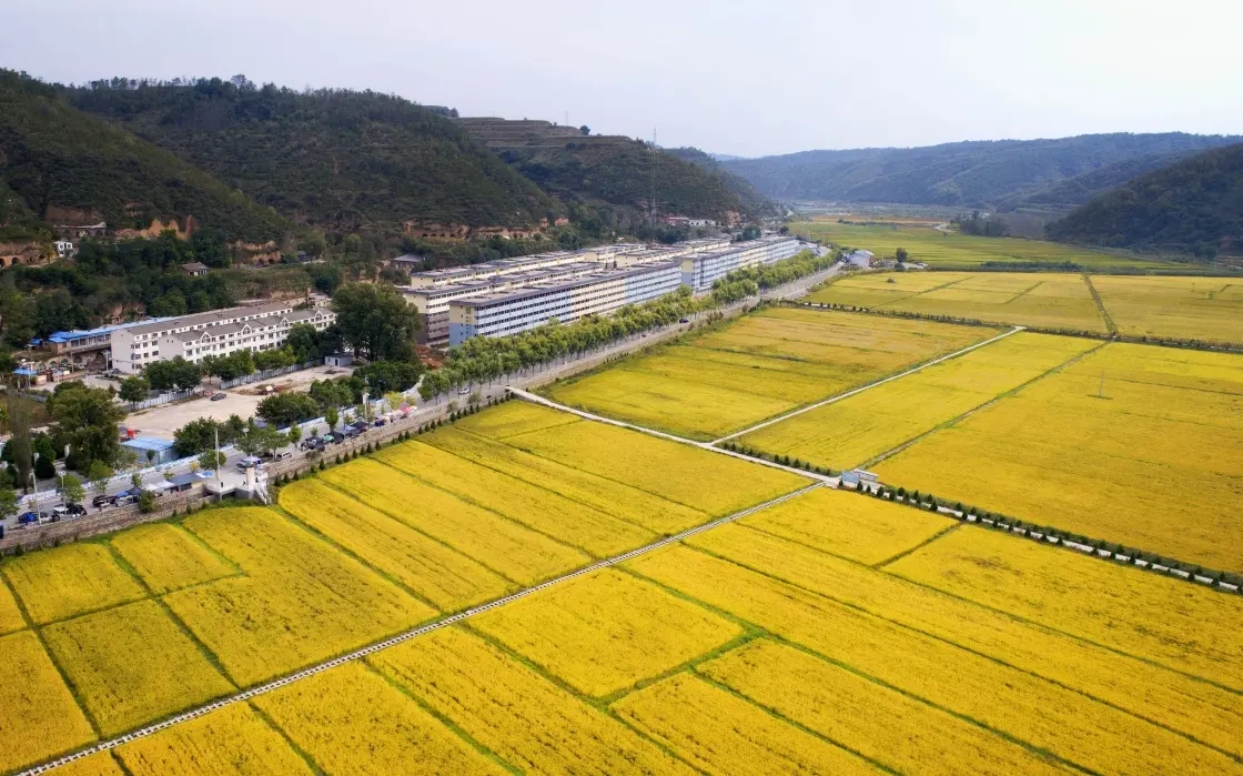 印度女生来中国旅游羡慕中国女生,印度女留学生介绍在中国生活