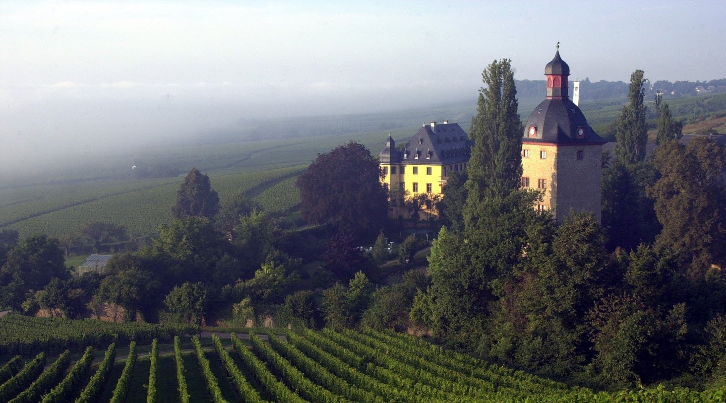 德国葡萄栽培简史,国外葡萄种植全部过程