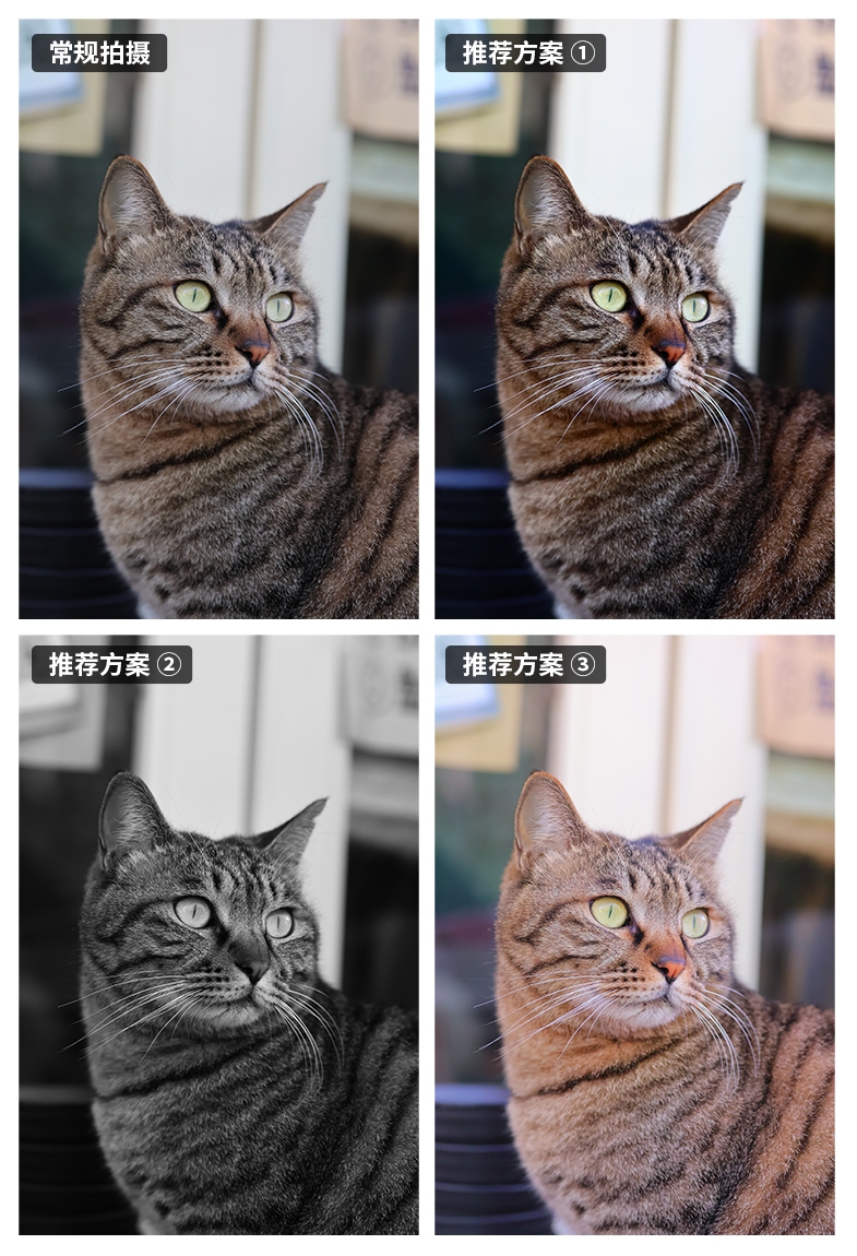 佳能eosr50详细介绍,佳能EosR50优缺点