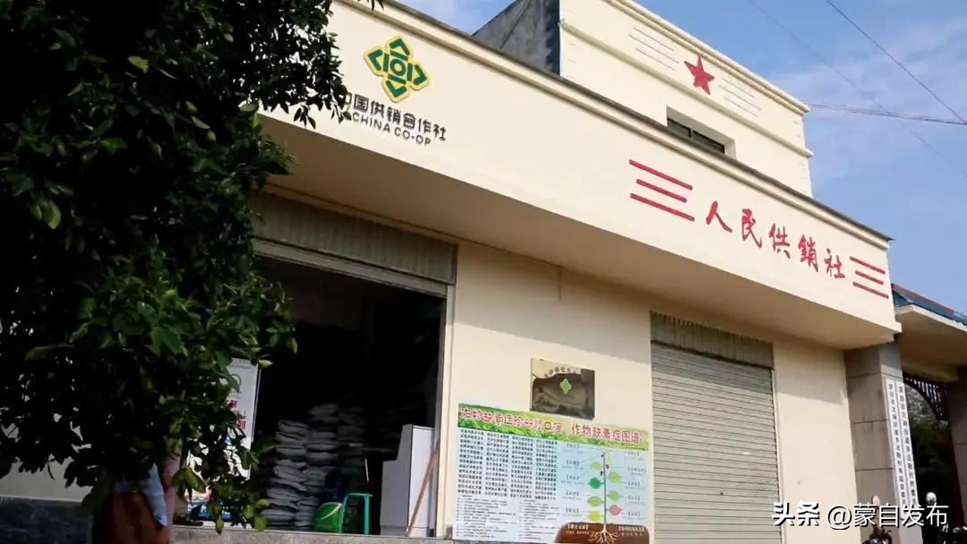 蒙自特产团购,蒙自美食特产水果