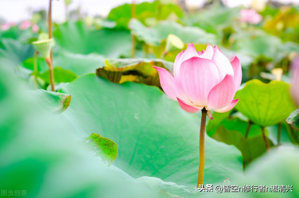 四十岁以后的人生万事随缘,40岁以后发大财的人