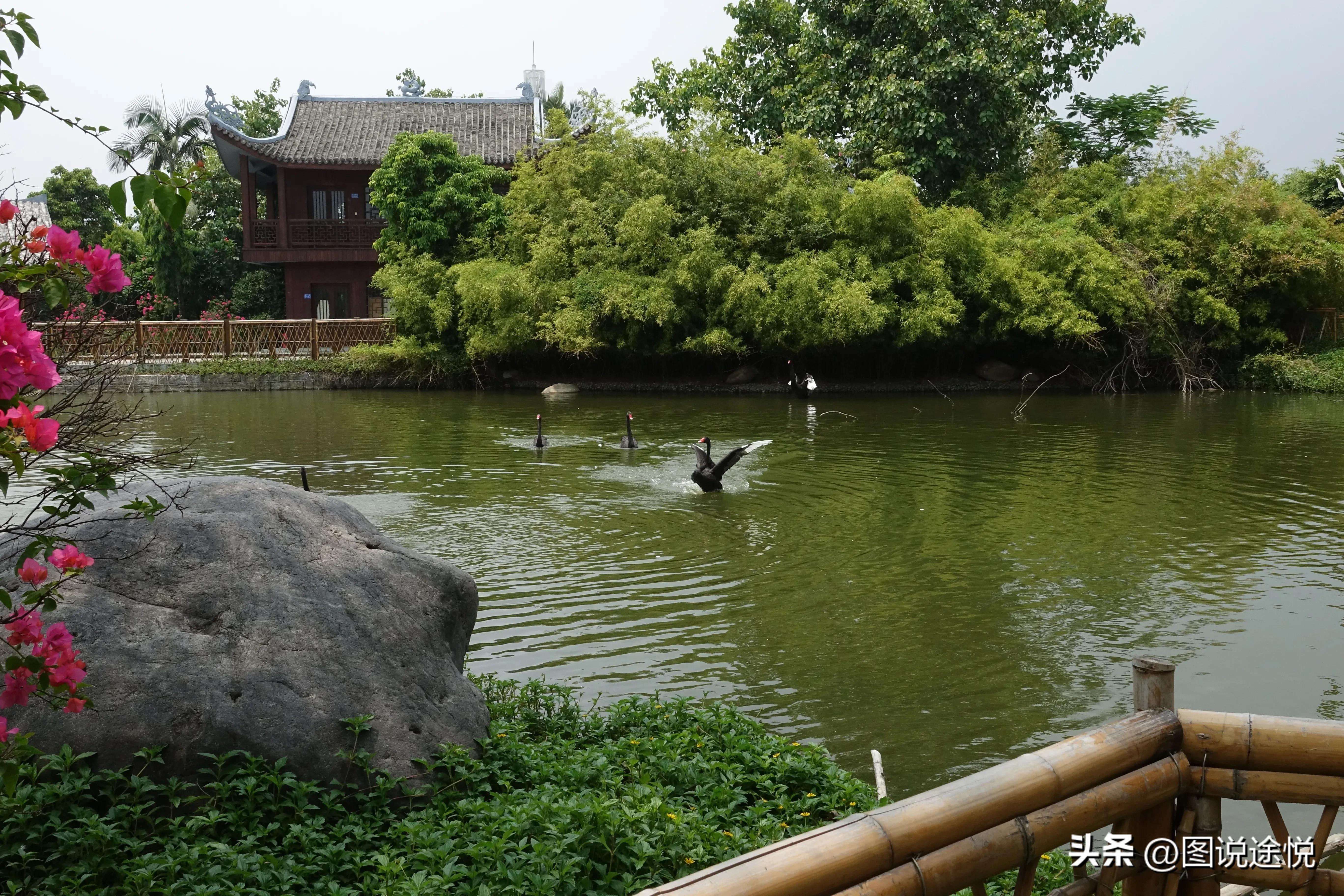 厦门园博苑有哪些风景,厦门园博苑海上大观园