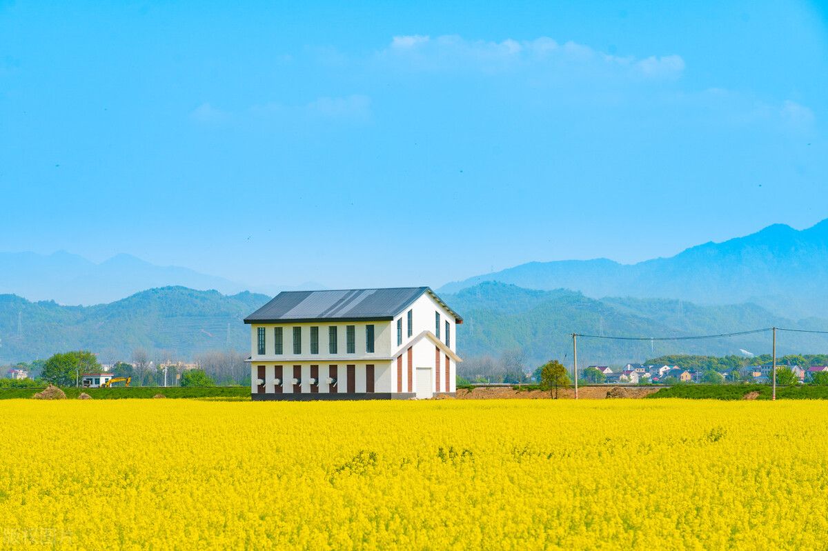 大乌龙！马云定居日本是假，要带技术回国是真