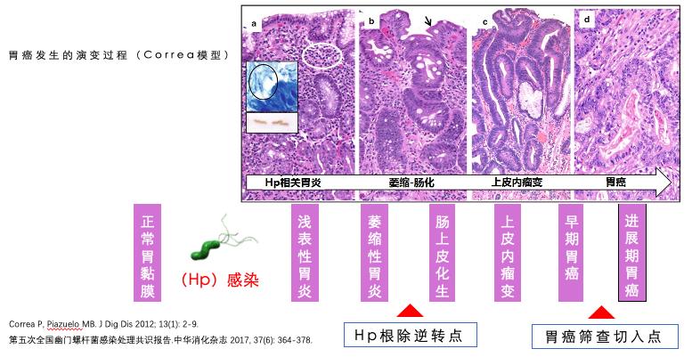 医疗技术最新突破方法研究,医疗技术突破例子
