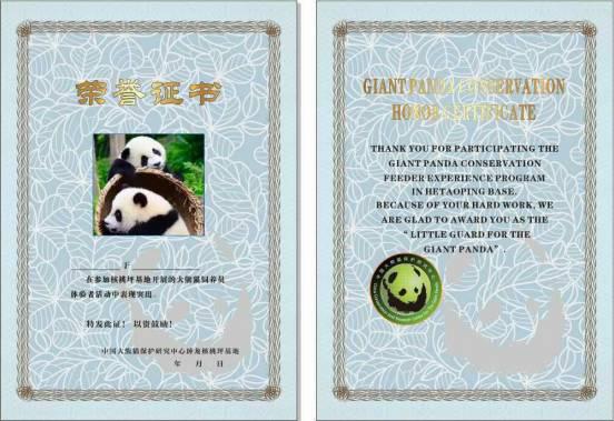 大熊猫基地怎么才能去喂大熊猫,大熊猫基地怎么去九寨沟