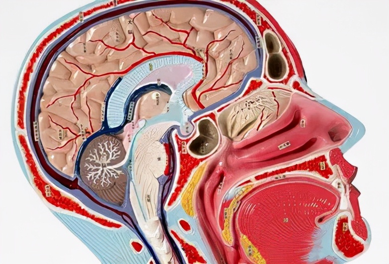 安宫牛黄丸救命药或是催命药,安宫牛黄丸是救命丸还是催命丸