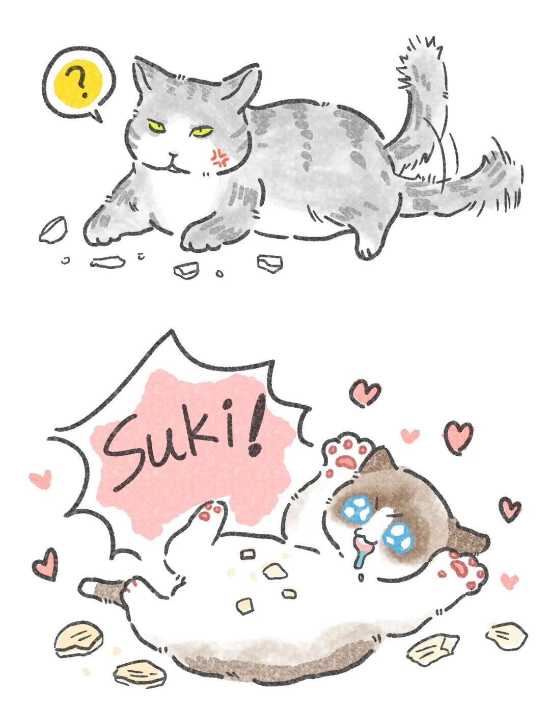 养猫卖宠物用品变现,养猫注意事项和骗局