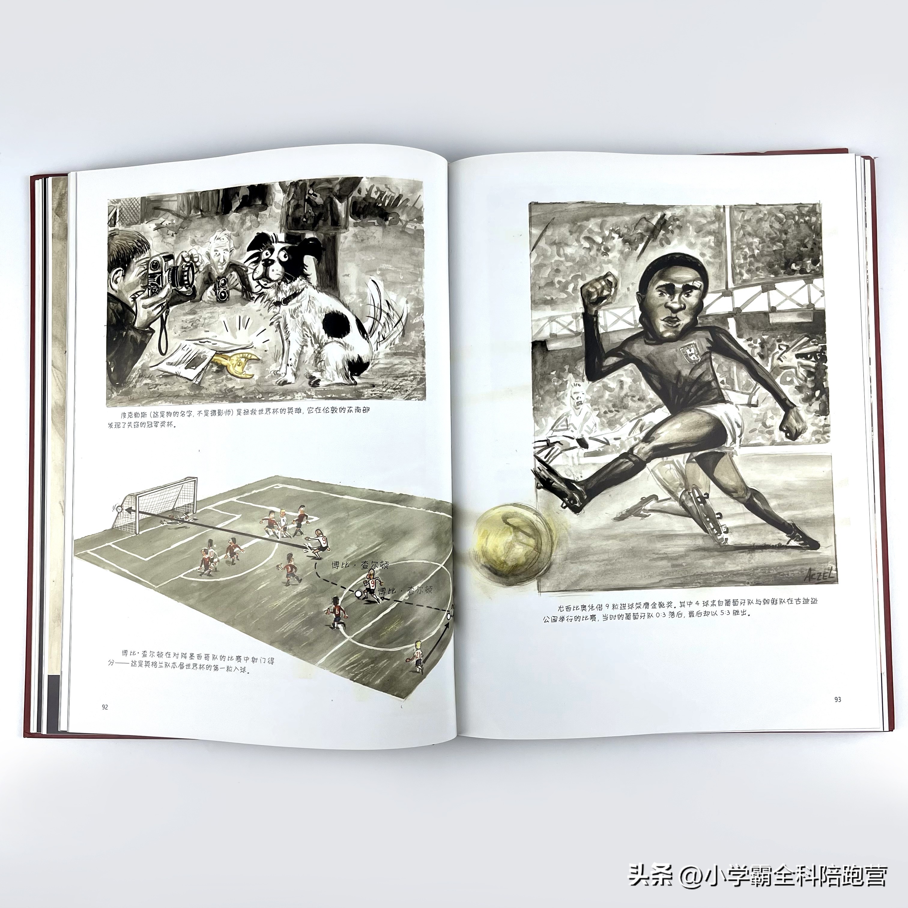 世界杯必须看的书有哪些,中国足球队挺进世界杯纪念珍藏册