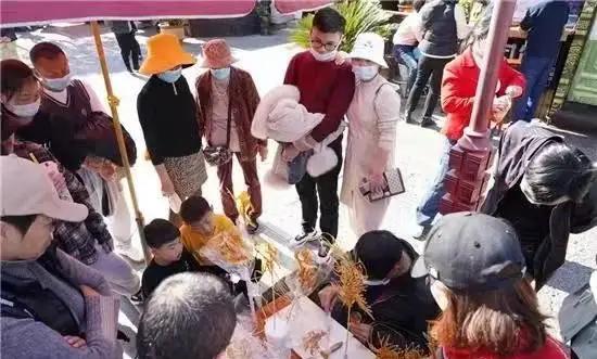 这个季节去哪里玩最合适昆明周边,昆明周边过年旅游推荐