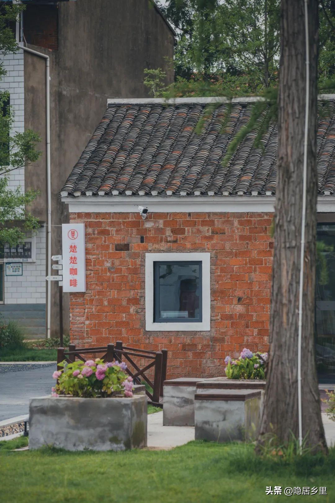 我为什么要在乡村开店——写给楚楚咖啡馆