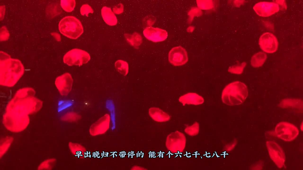 庐江真实工资,庐江工资最高的工作是什么