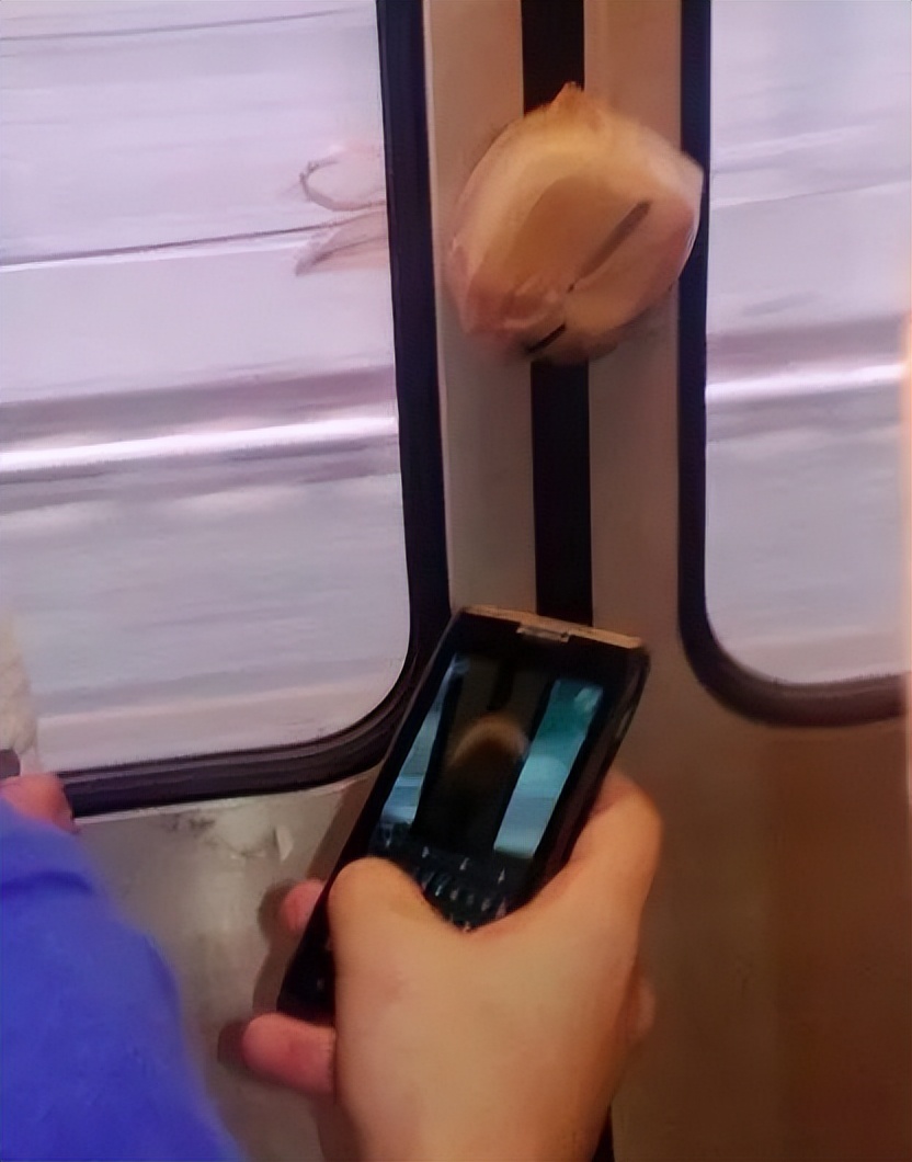 德国铁路吐槽大会！德铁，你真的刷新了我对德国的认知